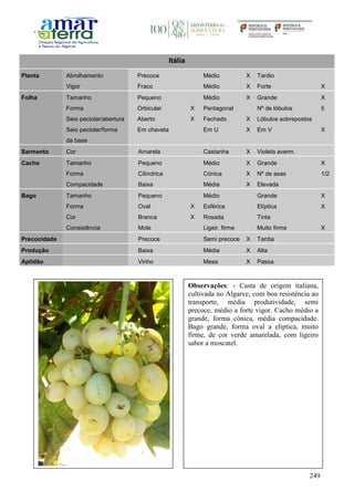 249
Itália
Planta Abrolhamento Precoce Médio X Tardio
Vigor Fraco Médio X Forte X
Folha Tamanho Pequeno Médio X Grande X
Forma Orbicular X Pentagonal Nº de lóbulos 5
Seio peciolar/abertura Aberto X Fechado X Lóbulos sobrepostos
Seio peciolar/forma
da base
Em chaveta Em U X Em V X
Sarmento Cor Amarela Castanha X Violeta averm.
Cacho Tamanho Pequeno Médio X Grande X
Forma Cilíndrica Cónica X Nº de asas 1/2
Compacidade Baixa Média X Elevada
Bago Tamanho Pequeno Médio Grande X
Forma Oval X Esférica Elíptica X
Cor Branca X Rosada Tinta
Consistência Mole Ligeir. firme Muito firme X
Precocidade Precoce Semi precoce X Tardia
Produção Baixa Média X Alta
Aptidão Vinho Mesa X Passa
Observações: - Casta de origem italiana,
cultivada no Algarve, com boa resistência ao
transporte, média produtividade, semi
precoce, médio a forte vigor. Cacho médio a
grande, forma cónica, média compacidade.
Bago grande, forma oval a elíptica, muito
firme, de cor verde amarelada, com ligeiro
sabor a moscatel.
 