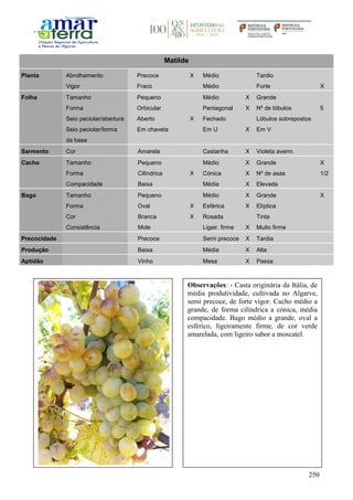 250
Matilde
Planta Abrolhamento Precoce X Médio Tardio
Vigor Fraco Médio Forte X
Folha Tamanho Pequeno Médio X Grande
Forma Orbicular Pentagonal X Nº de lóbulos 5
Seio peciolar/abertura Aberto X Fechado Lóbulos sobrepostos
Seio peciolar/forma
da base
Em chaveta Em U X Em V
Sarmento Cor Amarela Castanha X Violeta averm.
Cacho Tamanho Pequeno Médio X Grande X
Forma Cilíndrica X Cónica X Nº de asas 1/2
Compacidade Baixa Média X Elevada
Bago Tamanho Pequeno Médio X Grande X
Forma Oval X Esférica X Elíptica
Cor Branca X Rosada Tinta
Consistência Mole Ligeir. firme X Muito firme
Precocidade Precoce Semi precoce X Tardia
Produção Baixa Média X Alta
Aptidão Vinho Mesa X Passa
Observações: - Casta originária da Itália, de
média produtividade, cultivada no Algarve,
semi precoce, de forte vigor. Cacho médio a
grande, de forma cilíndrica a cónica, média
compacidade. Bago médio a grande, oval a
esférico, ligeiramente firme, de cor verde
amarelada, com ligeiro sabor a moscatel.
 