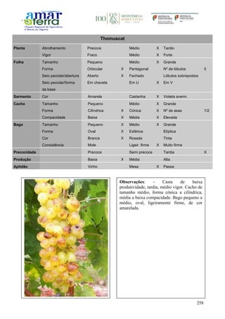 258
Thomuscat
Planta Abrolhamento Precoce Médio X Tardio
Vigor Fraco Médio X Forte
Folha Tamanho Pequeno Médio X Grande
Forma Orbicular X Pentagonal Nº de lóbulos 5
Seio peciolar/abertura Aberto X Fechado Lóbulos sobrepostos
Seio peciolar/forma
da base
Em chaveta Em U X Em V
Sarmento Cor Amarela Castanha X Violeta averm.
Cacho Tamanho Pequeno Médio X Grande
Forma Cilíndrica X Cónica X Nº de asas 1/2
Compacidade Baixa X Média X Elevada
Bago Tamanho Pequeno X Médio X Grande
Forma Oval X Esférica Elíptica
Cor Branca X Rosada Tinta
Consistência Mole Ligeir. firme X Muito firme
Precocidade Precoce Semi precoce Tardia X
Produção Baixa X Média Alta
Aptidão Vinho Mesa X Passa
Observações: - Casta de baixa
produtividade, tardia, médio vigor. Cacho de
tamanho médio, forma cónica a cilíndrica,
média a baixa compacidade. Bago pequeno a
médio, oval, ligeiramente firme, de cor
amarelada.
 
