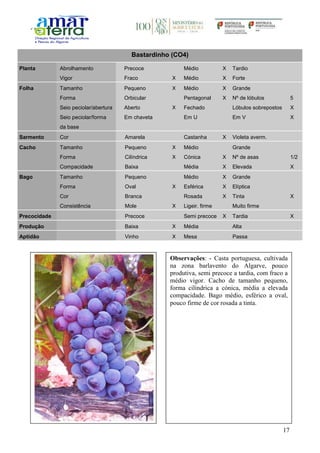 17
Bastardinho (CO4)
Planta Abrolhamento Precoce Médio X Tardio
Vigor Fraco X Médio X Forte
Folha Tamanho Pequeno X Médio X Grande
Forma Orbicular Pentagonal X Nº de lóbulos 5
Seio peciolar/abertura Aberto X Fechado Lóbulos sobrepostos X
Seio peciolar/forma
da base
Em chaveta Em U Em V X
Sarmento Cor Amarela Castanha X Violeta averm.
Cacho Tamanho Pequeno X Médio Grande
Forma Cilíndrica X Cónica X Nº de asas 1/2
Compacidade Baixa Média X Elevada X
Bago Tamanho Pequeno Médio X Grande
Forma Oval X Esférica X Elíptica
Cor Branca Rosada X Tinta X
Consistência Mole X Ligeir. firme Muito firme
Precocidade Precoce Semi precoce X Tardia X
Produção Baixa X Média Alta
Aptidão Vinho X Mesa Passa
Observações: - Casta portuguesa, cultivada
na zona barlavento do Algarve, pouco
produtiva, semi precoce a tardia, com fraco a
médio vigor. Cacho de tamanho pequeno,
forma cilíndrica a cónica, média a elevada
compacidade. Bago médio, esférico a oval,
pouco firme de cor rosada a tinta.
 
