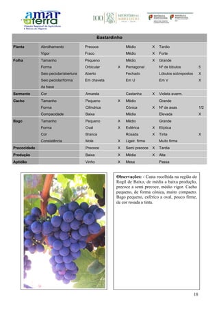18
Bastardinho
Planta Abrolhamento Precoce Médio X Tardio
Vigor Fraco Médio X Forte
Folha Tamanho Pequeno Médio X Grande
Forma Orbicular X Pentagonal Nº de lóbulos 5
Seio peciolar/abertura Aberto Fechado Lóbulos sobrepostos X
Seio peciolar/forma
da base
Em chaveta Em U Em V X
Sarmento Cor Amarela Castanha X Violeta averm.
Cacho Tamanho Pequeno X Médio Grande
Forma Cilíndrica Cónica X Nº de asas 1/2
Compacidade Baixa Média Elevada X
Bago Tamanho Pequeno X Médio Grande
Forma Oval X Esférica X Elíptica
Cor Branca Rosada X Tinta X
Consistência Mole X Ligeir. firme Muito firme
Precocidade Precoce X Semi precoce X Tardia
Produção Baixa X Média X Alta
Aptidão Vinho X Mesa Passa
Observações: - Casta recolhida na região do
Rogil de Baixo, de média a baixa produção,
precoce a semi precoce, médio vigor. Cacho
pequeno, de forma cónica, muito compacto.
Bago pequeno, esférico a oval, pouco firme,
de cor rosada a tinta.
 