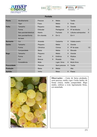 271
Perlette
Planta Abrolhamento Precoce X Médio Tardio
Vigor Fraco Médio X Forte
Folha Tamanho Pequeno Médio X Grande
Forma Orbicular Pentagonal X Nº de lóbulos 3
Seio peciolar/abertura Aberto Fechado X Lóbulos sobrepostos X
Seio peciolar/forma
da base
Em chaveta X Em U Em V
Sarmento Cor Amarela Castanha X Violeta averm.
Cacho Tamanho Pequeno Médio X Grande
Forma Cilíndrica Cónica X Nº de asas 1/2
Compacidade Baixa Média X Elevada
Bago Tamanho Pequeno Médio X Grande
Forma Oval X Esférica X Elíptica
Cor Branca X Rosada Tinta
Consistência Mole Ligeir. firme X Muito firme
Precocidade Precoce Semi precoce X Tardia
Produção Baixa X Média Alta
Aptidão Vinho Mesa X Passa
Observações: - Casta de baixa produção,
semi precoce, médio vigor. Cacho médio, de
forma cónica, média compacidade. Bago
médio, esférico a oval, ligeiramente firme,
cor amarelada.
 