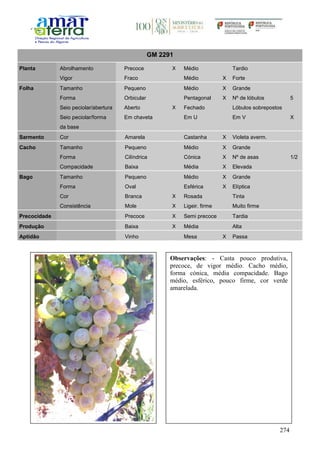 274
GM 2291
Planta Abrolhamento Precoce X Médio Tardio
Vigor Fraco Médio X Forte
Folha Tamanho Pequeno Médio X Grande
Forma Orbicular Pentagonal X Nº de lóbulos 5
Seio peciolar/abertura Aberto X Fechado Lóbulos sobrepostos
Seio peciolar/forma
da base
Em chaveta Em U Em V X
Sarmento Cor Amarela Castanha X Violeta averm.
Cacho Tamanho Pequeno Médio X Grande
Forma Cilíndrica Cónica X Nº de asas 1/2
Compacidade Baixa Média X Elevada
Bago Tamanho Pequeno Médio X Grande
Forma Oval Esférica X Elíptica
Cor Branca X Rosada Tinta
Consistência Mole X Ligeir. firme Muito firme
Precocidade Precoce X Semi precoce Tardia
Produção Baixa X Média Alta
Aptidão Vinho Mesa X Passa
Observações: - Casta pouco produtiva,
precoce, de vigor médio. Cacho médio,
forma cónica, média compacidade. Bago
médio, esférico, pouco firme, cor verde
amarelada.
 