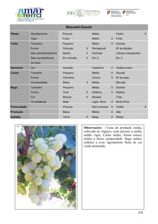 278
Moscatel Graudo
Planta Abrolhamento Precoce Médio Tardio X
Vigor Fraco Médio X Forte
Folha Tamanho Pequeno Médio X Grande
Forma Orbicular X Pentagonal Nº de lóbulos
Seio peciolar/abertura Aberto X Fechado Lóbulos sobrepostos
Seio peciolar/forma
da base
Em chaveta X Em U Em V
Sarmento Cor Amarela Castanha X Violeta averm.
Cacho Tamanho Pequeno Médio X Grande
Forma Cilíndrica Cónica X Nº de asas
Compacidade Baixa X Média Elevada
Bago Tamanho Pequeno Médio X Grande
Forma Oval X Esférica X Elíptica
Cor Branca X Rosada Tinta
Consistência Mole Ligeir. firme X Muito firme
Precocidade Precoce Semi precoce X Tardia X
Produção Baixa Média X Alta
Aptidão Vinho X Mesa X Passa
Observações: - Casta de produção média,
cultivada no Algarve, semi precoce a tardia,
médio vigor. Cacho médio, forma cónica,
média a baixa compacidade. Bago médio,
esférico a oval, ligeiramente firme de cor
verde amarelada.
 