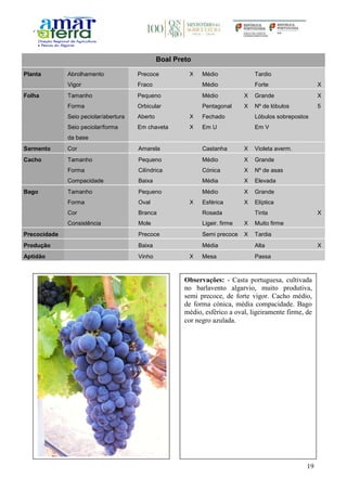 19
Boal Preto
Planta Abrolhamento Precoce X Médio Tardio
Vigor Fraco Médio Forte X
Folha Tamanho Pequeno Médio X Grande X
Forma Orbicular Pentagonal X Nº de lóbulos 5
Seio peciolar/abertura Aberto X Fechado Lóbulos sobrepostos
Seio peciolar/forma
da base
Em chaveta X Em U Em V
Sarmento Cor Amarela Castanha X Violeta averm.
Cacho Tamanho Pequeno Médio X Grande
Forma Cilíndrica Cónica X Nº de asas
Compacidade Baixa Média X Elevada
Bago Tamanho Pequeno Médio X Grande
Forma Oval X Esférica X Elíptica
Cor Branca Rosada Tinta X
Consistência Mole Ligeir. firme X Muito firme
Precocidade Precoce Semi precoce X Tardia
Produção Baixa Média Alta X
Aptidão Vinho X Mesa Passa
Observações: - Casta portuguesa, cultivada
no barlavento algarvio, muito produtiva,
semi precoce, de forte vigor. Cacho médio,
de forma cónica, média compacidade. Bago
médio, esférico a oval, ligeiramente firme, de
cor negro azulada.
 