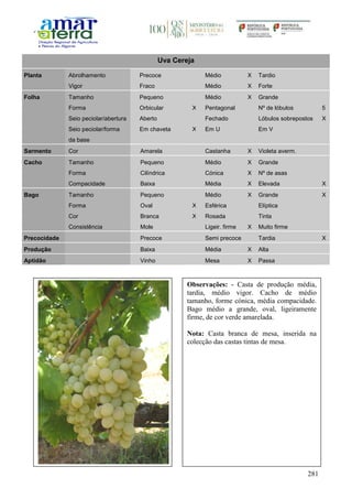 281
Uva Cereja
Planta Abrolhamento Precoce Médio X Tardio
Vigor Fraco Médio X Forte
Folha Tamanho Pequeno Médio X Grande
Forma Orbicular X Pentagonal Nº de lóbulos 5
Seio peciolar/abertura Aberto Fechado Lóbulos sobrepostos X
Seio peciolar/forma
da base
Em chaveta X Em U Em V
Sarmento Cor Amarela Castanha X Violeta averm.
Cacho Tamanho Pequeno Médio X Grande
Forma Cilíndrica Cónica X Nº de asas
Compacidade Baixa Média X Elevada X
Bago Tamanho Pequeno Médio X Grande X
Forma Oval X Esférica Elíptica
Cor Branca X Rosada Tinta
Consistência Mole Ligeir. firme X Muito firme
Precocidade Precoce Semi precoce Tardia X
Produção Baixa Média X Alta
Aptidão Vinho Mesa X Passa
Observações: - Casta de produção média,
tardia, médio vigor. Cacho de médio
tamanho, forme cónica, média compacidade.
Bago médio a grande, oval, ligeiramente
firme, de cor verde amarelada.
Nota: Casta branca de mesa, inserida na
colecção das castas tintas de mesa.
 