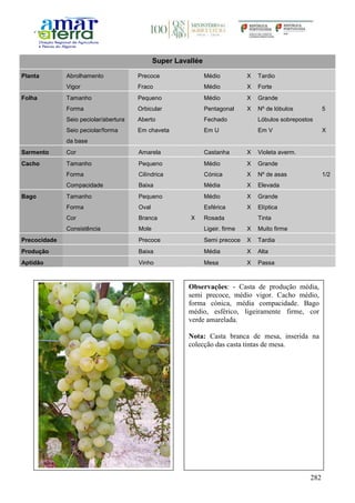 282
Super Lavallée
Planta Abrolhamento Precoce Médio X Tardio
Vigor Fraco Médio X Forte
Folha Tamanho Pequeno Médio X Grande
Forma Orbicular Pentagonal X Nº de lóbulos 5
Seio peciolar/abertura Aberto Fechado Lóbulos sobrepostos
Seio peciolar/forma
da base
Em chaveta Em U Em V X
Sarmento Cor Amarela Castanha X Violeta averm.
Cacho Tamanho Pequeno Médio X Grande
Forma Cilíndrica Cónica X Nº de asas 1/2
Compacidade Baixa Média X Elevada
Bago Tamanho Pequeno Médio X Grande
Forma Oval Esférica X Elíptica
Cor Branca X Rosada Tinta
Consistência Mole Ligeir. firme X Muito firme
Precocidade Precoce Semi precoce X Tardia
Produção Baixa Média X Alta
Aptidão Vinho Mesa X Passa
Observações: - Casta de produção média,
semi precoce, médio vigor. Cacho médio,
forma cónica, média compacidade. Bago
médio, esférico, ligeiramente firme, cor
verde amarelada.
Nota: Casta branca de mesa, inserida na
colecção das casta tintas de mesa.
 