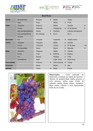 20
Boal Roxo
Planta Abrolhamento Precoce X Médio Tardio
Vigor Fraco Médio X Forte
Folha Tamanho Pequeno Médio Grande X
Forma Orbicular Pentagonal X Nº de lóbulos 5
Seio peciolar/abertura Aberto X Fechado Lóbulos sobrepostos
Seio peciolar/forma
da base
Em chaveta X Em U Em V
Sarmento Cor Amarela Castanha X Violeta averm.
Cacho Tamanho Pequeno Médio X Grande
Forma Cilíndrica Cónica X Nº de asas 1/2
Compacidade Baixa Média X Elevada X
Bago Tamanho Pequeno Médio X Grande
Forma Oval X Esférica X Elíptica
Cor Branca Rosada X Tinta
Consistência Mole Ligeir. firme X Muito firme
Precocidade Precoce X Semi precoce X Tardia
Produção Baixa Média X Alta
Aptidão Vinho X Mesa Passa
Observações: - Casta cultivada no
barlavento, recolhida na região da Seiceira /
Aljezur, de produtividade média, precoce a
semi precoce, médio vigor. Cacho de
tamanho médio, forma cónica, compacto.
Bago médio, esférico a oval, ligeiramente
firme de cor rosada.
 