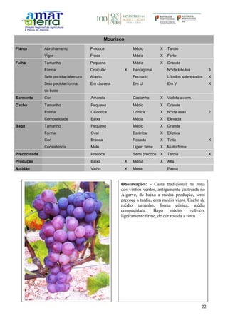 22
Mourisco
Planta Abrolhamento Precoce Médio X Tardio
Vigor Fraco Médio X Forte
Folha Tamanho Pequeno Médio X Grande
Forma Orbicular X Pentagonal Nº de lóbulos 3
Seio peciolar/abertura Aberto Fechado Lóbulos sobrepostos X
Seio peciolar/forma
da base
Em chaveta Em U Em V X
Sarmento Cor Amarela Castanha X Violeta averm.
Cacho Tamanho Pequeno Médio X Grande
Forma Cilíndrica Cónica X Nº de asas 2
Compacidade Baixa Média X Elevada
Bago Tamanho Pequeno Médio X Grande
Forma Oval Esférica X Elíptica
Cor Branca Rosada X Tinta X
Consistência Mole Ligeir. firme X Muito firme
Precocidade Precoce Semi precoce X Tardia X
Produção Baixa X Média X Alta
Aptidão Vinho X Mesa Passa
Observações: - Casta tradicional na zona
dos vinhos verdes, antigamente cultivada no
Algarve, de baixa a média produção, semi
precoce a tardia, com médio vigor. Cacho de
médio tamanho, forma cónica, média
compacidade. Bago médio, esférico,
ligeiramente firme, de cor rosada a tinta.
 