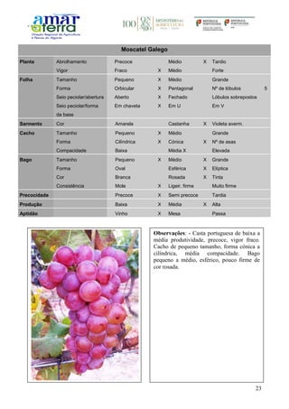 23
Moscatel Galego
Planta Abrolhamento Precoce Médio X Tardio
Vigor Fraco X Médio Forte
Folha Tamanho Pequeno X Médio Grande
Forma Orbicular X Pentagonal Nº de lóbulos 5
Seio peciolar/abertura Aberto X Fechado Lóbulos sobrepostos
Seio peciolar/forma
da base
Em chaveta X Em U Em V
Sarmento Cor Amarela Castanha X Violeta averm.
Cacho Tamanho Pequeno X Médio Grande
Forma Cilíndrica X Cónica X Nº de asas
Compacidade Baixa Média X Elevada
Bago Tamanho Pequeno X Médio X Grande
Forma Oval Esférica X Elíptica
Cor Branca Rosada X Tinta
Consistência Mole X Ligeir. firme Muito firme
Precocidade Precoce X Semi precoce Tardia
Produção Baixa X Média X Alta
Aptidão Vinho X Mesa Passa
Observações: - Casta portuguesa de baixa a
média produtividade, precoce, vigor fraco.
Cacho de pequeno tamanho, forma cónica a
cilíndrica, média compacidade. Bago
pequeno a médio, esférico, pouco firme de
cor rosada.
 