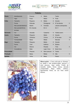 24
Tintinha
Planta Abrolhamento Precoce X Médio Tardio
Vigor Fraco Médio X Forte
Folha Tamanho Pequeno X Médio X Grande
Forma Orbicular Pentagonal X Nº de lóbulos 5
Seio peciolar/abertura Aberto X Fechado Lóbulos sobrepostos
Seio peciolar/forma
da base
Em chaveta Em U Em V X
Sarmento Cor Amarela Castanha X Violeta averm.
Cacho Tamanho Pequeno Médio X Grande
Forma Cilíndrica Cónica X Nº de asas 1/2
Compacidade Baixa Média Elevada X
Bago Tamanho Pequeno Médio X Grande
Forma Oval Esférica X Elíptica
Cor Branca Rosada Tinta X
Consistência Mole Ligeir. firme X Muito firme
Precocidade Precoce X Semi precoce X Tardia
Produção Baixa Média X Alta X
Aptidão Vinho X Mesa Passa
Observações: - Casta cultivada no Alentejo,
de média a alta produtividade, precoce a
semi precoce, vigor médio. Cacho de
tamanho médio, forma cónica, elevada
compacidade. Bago médio, esférico,
ligeiramente firme, de cor tinta muito
intensa.
 
