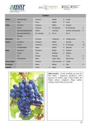 25
Tintilha
Planta Abrolhamento Precoce Médio X Tardio
Vigor Fraco Médio X Forte
Folha Tamanho Pequeno Médio X Grande
Forma Orbicular X Pentagonal Nº de lóbulos 3
Seio peciolar/abertura Aberto Fechado Lóbulos sobrepostos X
Seio peciolar/forma
da base
Em chaveta X Em U Em V
Sarmento Cor Amarela Castanha X Violeta averm.
Cacho Tamanho Pequeno Médio Grande X
Forma Cilíndrica Cónica X Nº de asas 1/2
Compacidade Baixa Média X Elevada X
Bago Tamanho Pequeno Médio X Grande
Forma Oval Esférica X Elíptica
Cor Branca Rosada Tinta X
Consistência Mole Ligeir. firme Muito firme X
Precocidade Precoce Semi precoce X Tardia
Produção Baixa Média X Alta X
Aptidão Vinho X Mesa Passa
Observações: - Casta recolhida na zona do
Pão Duro / Vaqueiros, produtiva, semi
precoce, de médio vigor. Cacho médio, de
forma cónica, compacto. Bago médio,
esférico, muito firme de cor tinta.
 