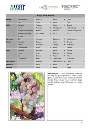 26
Negra Mole Branca
Planta Abrolhamento Precoce Médio X Tardio
Vigor Fraco X Médio Forte
Folha Tamanho Pequeno Médio X Grande
Forma Orbicular X Pentagonal Nº de lóbulos 3
Seio peciolar/abertura Aberto X Fechado Lóbulos sobrepostos
Seio peciolar/forma
da base
Em chaveta X Em U Em V
Sarmento Cor Amarela Castanha X Violeta averm.
Cacho Tamanho Pequeno Médio X Grande
Forma Cilíndrica Cónica X Nº de asas
Compacidade Baixa X Média Elevada
Bago Tamanho Pequeno Médio X Grande
Forma Oval Esférica X Elíptica
Cor Branca X Rosada X Tinta
Consistência Mole X Ligeir. firme Muito firme
Precocidade Precoce Semi precoce X Tardia X
Produção Baixa X Média Alta
Aptidão Vinho X Mesa Passa
Observações: - Casta portuguesa, cultivada
no Algarve, pouco produtiva, tardia a semi
precoce, com fraco vigor. Cacho de tamanho
médio, forma cónica, pouco compacto. Bago
médio, esférico, pouco firme, de cor branco
rosada.
 