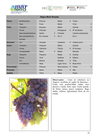 32
Negra Mole Rosada
Planta Abrolhamento Precoce Médio X Tardio
Vigor Fraco Médio Forte X
Folha Tamanho Pequeno Médio Grande X
Forma Orbicular Pentagonal X Nº de lóbulos 3
Seio peciolar/abertura Aberto X Fechado Lóbulos sobrepostos
Seio peciolar/forma
da base
Em chaveta X Em U Em V
Sarmento Cor Amarela Castanha X Violeta averm.
Cacho Tamanho Pequeno Médio Grande X
Forma Cilíndrica Cónica X Nº de asas 2
Compacidade Baixa X Média Elevada
Bago Tamanho Pequeno Médio X Grande
Forma Oval Esférica X Elíptica
Cor Branca Rosada X Tinta
Consistência Mole Ligeir. firme X Muito firme
Precocidade Precoce Semi precoce X Tardia X
Produção Baixa Média X Alta
Aptidão Vinho X Mesa Passa
Observações: - Casta de referência no
Algarve, recolhida na região de Querença /
Loulé, com produtividade média, semi
precoce a tardia, forte vigor. Cacho grande,
de forma cónica, pouco compacto. Bago
médio, esférico, ligeiramente firme de cor
rosada.
 