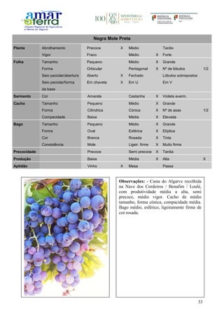 33
Negra Mole Preta
Planta Abrolhamento Precoce X Médio Tardio
Vigor Fraco Médio X Forte
Folha Tamanho Pequeno Médio X Grande
Forma Orbicular Pentagonal X Nº de lóbulos 1/2
Seio peciolar/abertura Aberto X Fechado Lóbulos sobrepostos
Seio peciolar/forma
da base
Em chaveta X Em U Em V
Sarmento Cor Amarela Castanha X Violeta averm.
Cacho Tamanho Pequeno Médio X Grande
Forma Cilíndrica Cónica X Nº de asas 1/2
Compacidade Baixa Média X Elevada
Bago Tamanho Pequeno Médio X Grande
Forma Oval Esférica X Elíptica
Cor Branca Rosada X Tinta
Consistência Mole Ligeir. firme X Muito firme
Precocidade Precoce Semi precoce X Tardia
Produção Baixa Média X Alta X
Aptidão Vinho X Mesa Passa
Observações: - Casta do Algarve recolhida
na Nave dos Cordeiros / Benafim / Loulé,
com produtividade média a alta, semi
precoce, médio vigor. Cacho de médio
tamanho, forma cónica, compacidade média.
Bago médio, esférico, ligeiramente firme de
cor rosada.
 