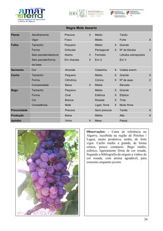 34
Negra Mole Assario
Planta Abrolhamento Precoce X Médio Tardio
Vigor Fraco Médio Forte X
Folha Tamanho Pequeno Médio X Grande
Forma Orbicular Pentagonal X Nº de lóbulos 3
Seio peciolar/abertura Aberto X Fechado Lóbulos sobrepostos
Seio peciolar/forma
da base
Em chaveta X Em U Em V
Sarmento Cor Amarela Castanha X Violeta averm.
Cacho Tamanho Pequeno Médio X Grande X
Forma Cilíndrica Cónica X Nº de asas 2
Compacidade Baixa X Média Elevada
Bago Tamanho Pequeno Médio X Grande X
Forma Oval Esférica X Elíptica
Cor Branca Rosada X Tinta
Consistência Mole Ligeir. firme X Muito firme
Precocidade Precoce Semi precoce Tardia X
Produção Baixa Média Alta X
Aptidão Vinho X Mesa Passa
Observações: - Casta de referência no
Algarve, recolhida na região de Porches /
Lagoa, muito produtiva, tardia, de forte
vigor. Cacho médio a grande, de forma
cónica, pouco compacto. Bago médio,
esférico, ligeiramente firme de cor rosada.
Segundo a bibliografia dá origem a vinhos de
cor rosada, com aroma agradável, para
consumo enquanto jovens.
 