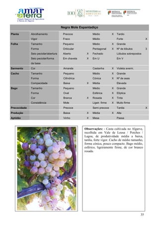 35
Negra Mole Espantadiço
Planta Abrolhamento Precoce Médio X Tardio
Vigor Fraco Médio Forte X
Folha Tamanho Pequeno Médio X Grande
Forma Orbicular Pentagonal X Nº de lóbulos 3
Seio peciolar/abertura Aberto X Fechado Lóbulos sobrepostos
Seio peciolar/forma
da base
Em chaveta X Em U Em V
Sarmento Cor Amarela Castanha X Violeta averm.
Cacho Tamanho Pequeno Médio X Grande
Forma Cilíndrica Cónica X Nº de asas
Compacidade Baixa X Média Elevada
Bago Tamanho Pequeno Médio X Grande
Forma Oval Esférica X Elíptica
Cor Branca X Rosada X Tinta
Consistência Mole Ligeir. firme X Muito firme
Precocidade Precoce Semi precoce Tardia X
Produção Baixa X Média X Alta
Aptidão Vinho X Mesa Passa
Observações: - Casta cultivada no Algarve,
recolhida em Vale de Lousa / Porches /
Lagoa, de produtividade média a baixa,
tardia, forte vigor. Cacho de médio tamanho,
forma cónica, pouco compacto. Bago médio,
esférico, ligeiramente firme, de cor branco
rosada.
 