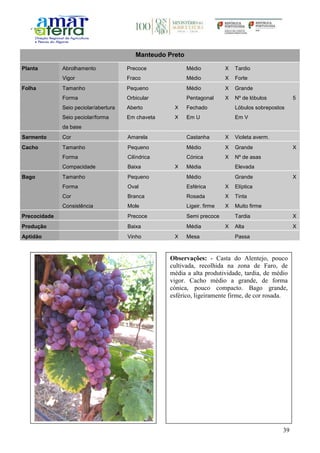 39
Manteudo Preto
Planta Abrolhamento Precoce Médio X Tardio
Vigor Fraco Médio X Forte
Folha Tamanho Pequeno Médio X Grande
Forma Orbicular Pentagonal X Nº de lóbulos 5
Seio peciolar/abertura Aberto X Fechado Lóbulos sobrepostos
Seio peciolar/forma
da base
Em chaveta X Em U Em V
Sarmento Cor Amarela Castanha X Violeta averm.
Cacho Tamanho Pequeno Médio X Grande X
Forma Cilíndrica Cónica X Nº de asas
Compacidade Baixa X Média Elevada
Bago Tamanho Pequeno Médio Grande X
Forma Oval Esférica X Elíptica
Cor Branca Rosada X Tinta
Consistência Mole Ligeir. firme X Muito firme
Precocidade Precoce Semi precoce Tardia X
Produção Baixa Média X Alta X
Aptidão Vinho X Mesa Passa
Observações: - Casta do Alentejo, pouco
cultivada, recolhida na zona de Faro, de
média a alta produtividade, tardia, de médio
vigor. Cacho médio a grande, de forma
cónica, pouco compacto. Bago grande,
esférico, ligeiramente firme, de cor rosada.
 