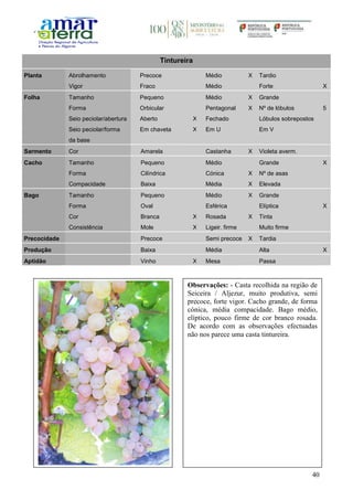 40
Tintureira
Planta Abrolhamento Precoce Médio X Tardio
Vigor Fraco Médio Forte X
Folha Tamanho Pequeno Médio X Grande
Forma Orbicular Pentagonal X Nº de lóbulos 5
Seio peciolar/abertura Aberto X Fechado Lóbulos sobrepostos
Seio peciolar/forma
da base
Em chaveta X Em U Em V
Sarmento Cor Amarela Castanha X Violeta averm.
Cacho Tamanho Pequeno Médio Grande X
Forma Cilíndrica Cónica X Nº de asas
Compacidade Baixa Média X Elevada
Bago Tamanho Pequeno Médio X Grande
Forma Oval Esférica Elíptica X
Cor Branca X Rosada X Tinta
Consistência Mole X Ligeir. firme Muito firme
Precocidade Precoce Semi precoce X Tardia
Produção Baixa Média Alta X
Aptidão Vinho X Mesa Passa
Observações: - Casta recolhida na região de
Seiceira / Aljezur, muito produtiva, semi
precoce, forte vigor. Cacho grande, de forma
cónica, média compacidade. Bago médio,
elíptico, pouco firme de cor branco rosada.
De acordo com as observações efectuadas
não nos parece uma casta tintureira.
 