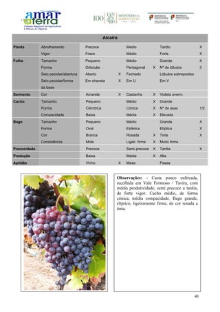 41
Alcaira
Planta Abrolhamento Precoce Médio Tardio X
Vigor Fraco Médio Forte X
Folha Tamanho Pequeno Médio Grande X
Forma Orbicular Pentagonal X Nº de lóbulos 3
Seio peciolar/abertura Aberto X Fechado Lóbulos sobrepostos
Seio peciolar/forma
da base
Em chaveta X Em U Em V
Sarmento Cor Amarela X Castanha X Violeta averm.
Cacho Tamanho Pequeno Médio X Grande
Forma Cilíndrica Cónica X Nº de asas 1/2
Compacidade Baixa Média X Elevada
Bago Tamanho Pequeno Médio Grande X
Forma Oval Esférica Elíptica X
Cor Branca Rosada X Tinta X
Consistência Mole Ligeir. firme X Muito firme
Precocidade Precoce Semi precoce X Tardia X
Produção Baixa Média X Alta
Aptidão Vinho X Mesa Passa
Observações: - Casta pouco cultivada,
recolhida em Vale Formoso / Tavira, com
média produtividade, semi precoce a tardia,
de forte vigor. Cacho médio, de forma
cónica, média compacidade. Bago grande,
elíptico, ligeiramente firme, de cor rosada a
tinta.
 