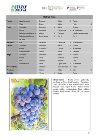 43
Malveo Tinto
Planta Abrolhamento Precoce Médio X Tardio
Vigor Fraco Médio Forte X
Folha Tamanho Pequeno X Médio Grande
Forma Orbicular Pentagonal X Nº de lóbulos 5
Seio peciolar/abertura Aberto X Fechado Lóbulos sobrepostos
Seio peciolar/forma
da base
Em chaveta X Em U Em V
Sarmento Cor Amarela Castanha X Violeta averm.
Cacho Tamanho Pequeno Médio X Grande
Forma Cilíndrica Cónica X Nº de asas 2
Compacidade Baixa Média X Elevada
Bago Tamanho Pequeno Médio X Grande
Forma Oval Esférica Elíptica X
Cor Branca Rosada Tinta X
Consistência Mole Ligeir. firme X Muito firme
Precocidade Precoce Semi precoce X Tardia
Produção Baixa Média X Alta X
Aptidão Vinho X Mesa Passa
Observações: - Casta pouco cultivada,
recolhida na Nave dos Cordeiros / Benafim /
Loulé, de média a alta produtividade, semi
precoce, forte vigor. Cacho médio, forma
cónica, média compacidade. Bago médio,
elíptico, ligeiramente firme, de cor negro
azulada.
 