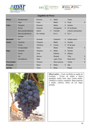45
Cagalhão de Porco
Planta Abrolhamento Precoce X Médio Tardio
Vigor Fraco Médio X Forte X
Folha Tamanho Pequeno Médio X Grande
Forma Orbicular Pentagonal X Nº de lóbulos
Seio peciolar/abertura Aberto X Fechado Lóbulos sobrepostos
Seio peciolar/forma
da base
Em chaveta Em U X Em V
Sarmento Cor Amarela Castanha X Violeta averm.
Cacho Tamanho Pequeno Médio X Grande
Forma Cilíndrica X Cónica X Nº de asas
Compacidade Baixa Média Elevada X
Bago Tamanho Pequeno X Médio X Grande
Forma Oval Esférica X Elíptica
Cor Branca Rosada Tinta X
Consistência Mole Ligeir. firme Muito firme X
Precocidade Precoce Semi precoce Tardia X
Produção Baixa X Média X Alta
Aptidão Vinho X Mesa Passa
Observações: - Casta recolhida na região de
Cachopo / Tavira, de média a baixa
produção, tardia, forte vigor. Cacho médio,
cilíndrico a cónico, compacto. Bago pequeno
a médio, esférico, firme, de cor negro
azulada.
 