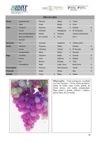46
Olho de Lebre
Planta Abrolhamento Precoce Médio X Tardio
Vigor Fraco Médio X Forte
Folha Tamanho Pequeno Médio X Grande X
Forma Orbicular Pentagonal X Nº de lóbulos 5
Seio peciolar/abertura Aberto X Fechado Lóbulos sobrepostos
Seio peciolar/forma
da base
Em chaveta X Em U Em V
Sarmento Cor Amarela Castanha X Violeta averm.
Cacho Tamanho Pequeno Médio Grande X
Forma Cilíndrica Cónica X Nº de asas 1/2
Compacidade Baixa Média X Elevada
Bago Tamanho Pequeno Médio X Grande X
Forma Oval Esférica X Elíptica X
Cor Branca Rosada X Tinta
Consistência Mole Ligeir. firme Muito firme X
Precocidade Precoce Semi precoce Tardia X
Produção Baixa Média Alta X
Aptidão Vinho X Mesa X Passa
Observações: - Casta portuguesa, recolhida
em Vale Formoso / Tavira, muito produtiva,
tardia, de médio vigor. Cacho grande, de
forma cónica, com média compacidade.
Bago médio a grande, esférico a elíptico,
pouco firme, de cor rosada.
 