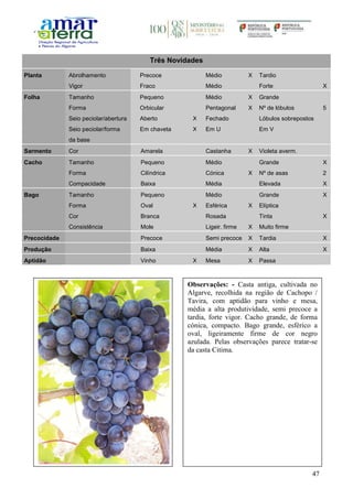 47
Três Novidades
Planta Abrolhamento Precoce Médio X Tardio
Vigor Fraco Médio Forte X
Folha Tamanho Pequeno Médio X Grande
Forma Orbicular Pentagonal X Nº de lóbulos 5
Seio peciolar/abertura Aberto X Fechado Lóbulos sobrepostos
Seio peciolar/forma
da base
Em chaveta X Em U Em V
Sarmento Cor Amarela Castanha X Violeta averm.
Cacho Tamanho Pequeno Médio Grande X
Forma Cilíndrica Cónica X Nº de asas 2
Compacidade Baixa Média Elevada X
Bago Tamanho Pequeno Médio Grande X
Forma Oval X Esférica X Elíptica
Cor Branca Rosada Tinta X
Consistência Mole Ligeir. firme X Muito firme
Precocidade Precoce Semi precoce X Tardia X
Produção Baixa Média X Alta X
Aptidão Vinho X Mesa X Passa
Observações: - Casta antiga, cultivada no
Algarve, recolhida na região de Cachopo /
Tavira, com aptidão para vinho e mesa,
média a alta produtividade, semi precoce a
tardia, forte vigor. Cacho grande, de forma
cónica, compacto. Bago grande, esférico a
oval, ligeiramente firme de cor negro
azulada. Pelas observações parece tratar-se
da casta Citima.
 