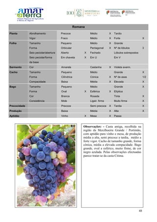 48
Romana
Planta Abrolhamento Precoce Médio X Tardio
Vigor Fraco Médio X Forte X
Folha Tamanho Pequeno Médio X Grande
Forma Orbicular Pentagonal X Nº de lóbulos 3
Seio peciolar/abertura Aberto X Fechado Lóbulos sobrepostos
Seio peciolar/forma
da base
Em chaveta X Em U Em V
Sarmento Cor Amarela Castanha X Violeta averm.
Cacho Tamanho Pequeno Médio Grande X
Forma Cilíndrica Cónica X Nº de asas 1/2
Compacidade Baixa Média X Elevada X
Bago Tamanho Pequeno Médio Grande X
Forma Oval X Esférica X Elíptica
Cor Branca Rosada Tinta X
Consistência Mole Ligeir. firme Muito firme X
Precocidade Precoce Semi precoce X Tardia X
Produção Baixa Média X Alta X
Aptidão Vinho X Mesa X Passa
Observações: - Casta antiga, recolhida na
região da Mexilhoeira Grande / Portimão,
com aptidão para vinho e mesa, de produção
média a alta, semi precoce a tardia, médio a
forte vigor. Cacho de tamanho grande, forma
cónica, média a elevada compacidade. Bago
grande, oval a esférico, muito firme, de cor
negro azulada. Pelas observações efectuadas
parece tratar-se da casta Citima.
 