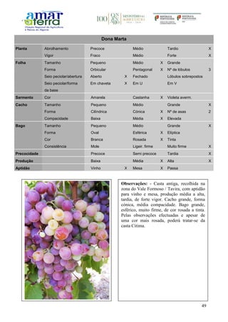 49
Dona Marta
Planta Abrolhamento Precoce Médio Tardio X
Vigor Fraco Médio Forte X
Folha Tamanho Pequeno Médio X Grande
Forma Orbicular Pentagonal X Nº de lóbulos 3
Seio peciolar/abertura Aberto X Fechado Lóbulos sobrepostos
Seio peciolar/forma
da base
Em chaveta X Em U Em V
Sarmento Cor Amarela Castanha X Violeta averm.
Cacho Tamanho Pequeno Médio Grande X
Forma Cilíndrica Cónica X Nº de asas 2
Compacidade Baixa Média X Elevada
Bago Tamanho Pequeno Médio Grande X
Forma Oval Esférica X Elíptica
Cor Branca Rosada X Tinta
Consistência Mole Ligeir. firme Muito firme X
Precocidade Precoce Semi precoce Tardia X
Produção Baixa Média X Alta X
Aptidão Vinho X Mesa X Passa
Observações: - Casta antiga, recolhida na
zona do Vale Formoso / Tavira, com aptidão
para vinho e mesa, produção média a alta,
tardia, de forte vigor. Cacho grande, forma
cónica, média compacidade. Bago grande,
esférico, muito firme, de cor rosada a tinta.
Pelas observações efectuadas e apesar de
uma cor mais rosada, poderá tratar-se da
casta Citima.
 