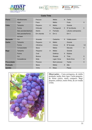 51
Casta Tinta
Planta Abrolhamento Precoce Médio X Tardio
Vigor Fraco Médio Forte X
Folha Tamanho Pequeno X Médio Grande
Forma Orbicular Pentagonal X Nº de lóbulos 5
Seio peciolar/abertura Aberto X Fechado Lóbulos sobrepostos
Seio peciolar/forma
da base
Em chaveta X Em U Em V
Sarmento Cor Amarela Castanha X Violeta averm.
Cacho Tamanho Pequeno X Médio Grande
Forma Cilíndrica Cónica X Nº de asas 1/2
Compacidade Baixa Média Elevada X
Bago Tamanho Pequeno X Médio Grande
Forma Oval Esférica X Elíptica
Cor Branca Rosada X Tinta X
Consistência Mole Ligeir. firme Muito firme X
Precocidade Precoce Semi precoce Tardia X
Produção Baixa Média X Alta
Aptidão Vinho X Mesa Passa
Observações: - Casta portuguesa, de média
produção, tardia, forte vigor. Cacho pequeno,
de forma cónica, muito compacto. Bago
pequeno, esférico, muito firme, de cor rosada
a tinta.
 