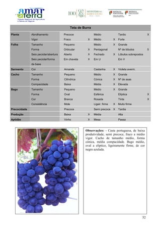 52
Teta de Burra
Planta Abrolhamento Precoce Médio Tardio X
Vigor Fraco X Médio X Forte
Folha Tamanho Pequeno Médio X Grande
Forma Orbicular X Pentagonal Nº de lóbulos 5
Seio peciolar/abertura Aberto X Fechado X Lóbulos sobrepostos
Seio peciolar/forma
da base
Em chaveta X Em U Em V
Sarmento Cor Amarela Castanha X Violeta averm.
Cacho Tamanho Pequeno Médio X Grande
Forma Cilíndrica Cónica X Nº de asas
Compacidade Baixa Média X Elevada
Bago Tamanho Pequeno Médio X Grande
Forma Oval Esférica Elíptica X
Cor Branca Rosada Tinta X
Consistência Mole Ligeir. firme X Muito firme
Precocidade Precoce Semi precoce X Tardia
Produção Baixa X Média Alta
Aptidão Vinho X Mesa Passa
Observações: - Casta portuguesa, de baixa
produtividade, semi precoce, fraco a médio
vigor. Cacho de tamanho médio, forma
cónica, média compacidade. Bago médio,
oval a elíptico, ligeiramente firme, de cor
negro azulada.
 