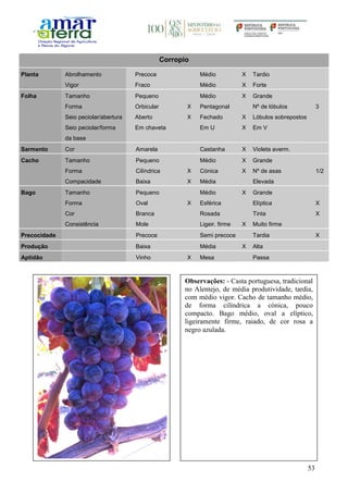 53
Corropio
Planta Abrolhamento Precoce Médio X Tardio
Vigor Fraco Médio X Forte
Folha Tamanho Pequeno Médio X Grande
Forma Orbicular X Pentagonal Nº de lóbulos 3
Seio peciolar/abertura Aberto X Fechado X Lóbulos sobrepostos
Seio peciolar/forma
da base
Em chaveta Em U X Em V
Sarmento Cor Amarela Castanha X Violeta averm.
Cacho Tamanho Pequeno Médio X Grande
Forma Cilíndrica X Cónica X Nº de asas 1/2
Compacidade Baixa X Média Elevada
Bago Tamanho Pequeno Médio X Grande
Forma Oval X Esférica Elíptica X
Cor Branca Rosada Tinta X
Consistência Mole Ligeir. firme X Muito firme
Precocidade Precoce Semi precoce Tardia X
Produção Baixa Média X Alta
Aptidão Vinho X Mesa Passa
Observações: - Casta portuguesa, tradicional
no Alentejo, de média produtividade, tardia,
com médio vigor. Cacho de tamanho médio,
de forma cilíndrica a cónica, pouco
compacto. Bago médio, oval a elíptico,
ligeiramente firme, raiado, de cor rosa a
negro azulada.
 