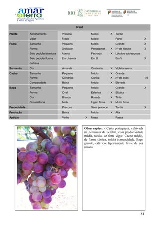 54
Roal
Planta Abrolhamento Precoce Médio X Tardio
Vigor Fraco Médio Forte X
Folha Tamanho Pequeno Médio Grande X
Forma Orbicular Pentagonal X Nº de lóbulos 3
Seio peciolar/abertura Aberto Fechado X Lóbulos sobrepostos
Seio peciolar/forma
da base
Em chaveta Em U Em V X
Sarmento Cor Amarela Castanha X Violeta averm.
Cacho Tamanho Pequeno Médio X Grande
Forma Cilíndrica Cónica X Nº de asas 1/2
Compacidade Baixa Média X Elevada
Bago Tamanho Pequeno Médio Grande X
Forma Oval Esférica X Elíptica
Cor Branca Rosada X Tinta
Consistência Mole Ligeir. firme X Muito firme
Precocidade Precoce Semi precoce Tardia X
Produção Baixa Média X Alta
Aptidão Vinho X Mesa Passa
Observações: - Casta portuguesa, cultivada
na península de Setúbal, com produtividade
média, tardia, de forte vigor. Cacho médio,
de forma cónica, média compacidade. Bago
grande, esférico, ligeiramente firme de cor
rosada.
 