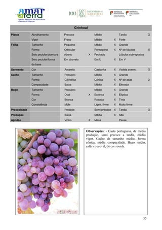 55
Grinhoal
Planta Abrolhamento Precoce Médio Tardio X
Vigor Fraco Médio X Forte
Folha Tamanho Pequeno Médio X Grande
Forma Orbicular Pentagonal X Nº de lóbulos 5
Seio peciolar/abertura Aberto X Fechado Lóbulos sobrepostos
Seio peciolar/forma
da base
Em chaveta Em U X Em V
Sarmento Cor Amarela Castanha X Violeta averm. X
Cacho Tamanho Pequeno Médio X Grande
Forma Cilíndrica Cónica X Nº de asas 2
Compacidade Baixa Média X Elevada
Bago Tamanho Pequeno Médio X Grande
Forma Oval X Esférica X Elíptica
Cor Branca Rosada X Tinta
Consistência Mole Ligeir. firme X Muito firme
Precocidade Precoce Semi precoce X Tardia X
Produção Baixa Média X Alta
Aptidão Vinho X Mesa Passa
Observações: - Casta portuguesa, de média
produção, semi precoce a tardia, médio
vigor. Cacho de tamanho médio, forma
cónica, média compacidade. Bago médio,
esférico a oval, de cor rosada.
 