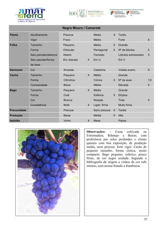 57
Negro Mouro / Camarate
Planta Abrolhamento Precoce Médio X Tardio
Vigor Fraco Médio Forte X
Folha Tamanho Pequeno Médio X Grande
Forma Orbicular Pentagonal X Nº de lóbulos 5
Seio peciolar/abertura Aberto Fechado Lóbulos sobrepostos X
Seio peciolar/forma
da base
Em chaveta X Em U Em V
Sarmento Cor Amarela Castanha Violeta averm. X
Cacho Tamanho Pequeno X Médio Grande
Forma Cilíndrica Cónica X Nº de asas 1/2
Compacidade Baixa Média Elevada X
Bago Tamanho Pequeno X Médio Grande
Forma Oval Esférica X Elíptica
Cor Branca Rosada Tinta X
Consistência Mole X Ligeir. firme Muito firme
Precocidade Precoce Semi precoce X Tardia
Produção Baixa Média X Alta
Aptidão Vinho X Mesa Passa
Observações: - Casta cultivada na
Estremadura, Ribatejo e Beiras, com
preferência por solos profundos e climas
quentes com boa exposição, de produção
média, semi precoce, forte vigor. Cacho de
pequeno tamanho, forma cónica, muito
compacto. Bago pequeno, esférico, pouco
firme, de cor negro azulada. Segundo a
bibliografia dá origem a vinhos de cor rubi
intenso, com aroma frutado a framboesa.
 
