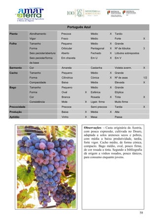 58
Português Azul
Planta Abrolhamento Precoce Médio X Tardio
Vigor Fraco Médio Forte X
Folha Tamanho Pequeno Médio X Grande
Forma Orbicular Pentagonal X Nº de lóbulos 3
Seio peciolar/abertura Aberto Fechado X Lóbulos sobrepostos
Seio peciolar/forma
da base
Em chaveta Em U X Em V
Sarmento Cor Amarela Castanha Violeta averm. X
Cacho Tamanho Pequeno Médio X Grande
Forma Cilíndrica Cónica X Nº de asas 1/2
Compacidade Baixa Média Elevada X
Bago Tamanho Pequeno Médio X Grande
Forma Oval X Esférica Elíptica
Cor Branca Rosada X Tinta X
Consistência Mole X Ligeir. firme Muito firme
Precocidade Precoce Semi precoce Tardia X
Produção Baixa X Média X Alta
Aptidão Vinho X Mesa Passa
Observações: - Casta originária da Áustria,
com pouca expressão, cultivada no Douro,
adaptada a solos arenosos secos e pobres,
com média a baixa produtividade, tardia,
forte vigor. Cacho médio, de forma cónica,
compacto. Bago médio, oval, pouco firme,
de cor rosada a tinta. Segundo a bibliografia
dá origem a vinhos rosados, pouco tânicos,
para consumo enquanto jovens.
 
