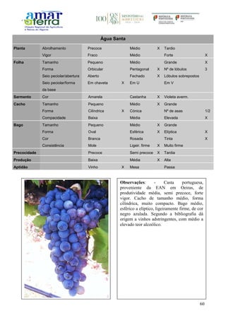 60
Água Santa
Planta Abrolhamento Precoce Médio X Tardio
Vigor Fraco Médio Forte X
Folha Tamanho Pequeno Médio Grande X
Forma Orbicular Pentagonal X Nº de lóbulos 3
Seio peciolar/abertura Aberto Fechado X Lóbulos sobrepostos
Seio peciolar/forma
da base
Em chaveta X Em U Em V
Sarmento Cor Amarela Castanha X Violeta averm.
Cacho Tamanho Pequeno Médio X Grande
Forma Cilíndrica X Cónica Nº de asas 1/2
Compacidade Baixa Média Elevada X
Bago Tamanho Pequeno Médio X Grande
Forma Oval Esférica X Elíptica X
Cor Branca Rosada Tinta X
Consistência Mole Ligeir. firme X Muito firme
Precocidade Precoce Semi precoce X Tardia
Produção Baixa Média X Alta
Aptidão Vinho X Mesa Passa
Observações: - Casta portuguesa,
proveniente da EAN em Oeiras, de
produtividade média, semi precoce, forte
vigor. Cacho de tamanho médio, forma
cilíndrica, muito compacto. Bago médio,
esférico a elíptico, ligeiramente firme, de cor
negro azulada. Segundo a bibliografia dá
origem a vinhos adstringentes, com médio a
elevado teor alcoólico.
 
