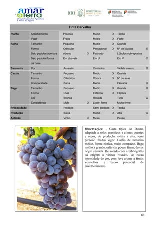 64
Tinta Carvalha
Planta Abrolhamento Precoce Médio X Tardio
Vigor Fraco Médio X Forte
Folha Tamanho Pequeno Médio X Grande
Forma Orbicular Pentagonal X Nº de lóbulos 5
Seio peciolar/abertura Aberto X Fechado Lóbulos sobrepostos
Seio peciolar/forma
da base
Em chaveta Em U Em V X
Sarmento Cor Amarela Castanha Violeta averm. X
Cacho Tamanho Pequeno Médio X Grande
Forma Cilíndrica Cónica X Nº de asas
Compacidade Baixa Média Elevada X
Bago Tamanho Pequeno Médio X Grande X
Forma Oval Esférica X Elíptica
Cor Branca Rosada Tinta X
Consistência Mole X Ligeir. firme Muito firme
Precocidade Precoce Semi precoce X Tardia
Produção Baixa Média X Alta X
Aptidão Vinho X Mesa Passa
Observações: - Casta típica do Douro,
adaptada a solos graníticos e climas quentes
e secos, de produção média a alta, semi
precoce, médio vigor. Cacho de tamanho
médio, forma cónica, muito compacto. Bago
médio a grande, esférico, pouco firme, de cor
negro azulada. De acordo com a bibliografia
dá origem a vinhos rosados, de baixa
intensidade de cor, com leve aroma a frutos
vermelhos e baixo potencial de
envelhecimento.
 