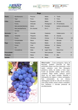69
Baga
Planta Abrolhamento Precoce Médio X Tardio
Vigor Fraco Médio X Forte X
Folha Tamanho Pequeno Médio X Grande
Forma Orbicular Pentagonal X Nº de lóbulos 5
Seio peciolar/abertura Aberto X Fechado Lóbulos sobrepostos
Seio peciolar/forma
da base
Em chaveta Em U Em V X
Sarmento Cor Amarela Castanha Violeta averm. X
Cacho Tamanho Pequeno Médio X Grande
Forma Cilíndrica Cónica X Nº de asas 1/2
Compacidade Baixa Média Elevada X
Bago Tamanho Pequeno Médio X Grande
Forma Oval Esférica X Elíptica
Cor Branca Rosada Tinta X
Consistência Mole X Ligeir. firme Muito firme
Precocidade Precoce Semi precoce Tardia X
Produção Baixa Média X Alta X
Aptidão Vinho X Mesa Passa
Observações: - Casta portuguesa, típica da
Bairrada, também cultivada no Dão,
preferindo climas com boa exposição e solos
argilo calcários com boa drenagem,
produtiva, tardia, de médio a forte vigor.
Cacho de tamanho médio, forma cónica,
compacto. Bago médio, esférico, pouco
firme, de cor negro azulada. Segundo a
bibliografia dá origem a vinhos encorpados,
bem estruturados, de cor intensa,
adstringentes devido ao alto teor de taninos,
com acidez média, aroma a frutos vermelhos,
leve herbáceo e elevado potencial de
envelhecimento.
 