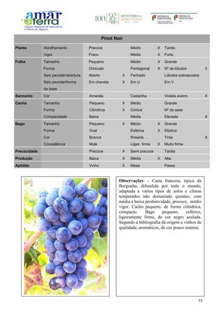 75
Pinot Noir
Planta Abrolhamento Precoce Médio X Tardio
Vigor Fraco Médio X Forte
Folha Tamanho Pequeno Médio X Grande
Forma Orbicular Pentagonal X Nº de lóbulos 3
Seio peciolar/abertura Aberto X Fechado Lóbulos sobrepostos
Seio peciolar/forma
da base
Em chaveta X Em U Em V
Sarmento Cor Amarela Castanha Violeta averm. X
Cacho Tamanho Pequeno X Médio Grande
Forma Cilíndrica X Cónica Nº de asas
Compacidade Baixa Média Elevada X
Bago Tamanho Pequeno X Médio X Grande
Forma Oval Esférica X Elíptica
Cor Branca Rosada Tinta X
Consistência Mole Ligeir. firme X Muito firme
Precocidade Precoce X Semi precoce Tardia
Produção Baixa X Média X Alta
Aptidão Vinho X Mesa Passa
Observações: - Casta francesa, típica da
Borgonha, difundida por todo o mundo,
adaptada a vários tipos de solos e climas
temperados não demasiado quentes, com
média a baixa produtividade, precoce, médio
vigor. Cacho pequeno, de forma cilíndrica,
compacto. Bago pequeno, esférico,
ligeiramente firme, de cor negro azulada.
Segundo a bibliografia dá origem a vinhos de
qualidade, aromáticos, de cor pouco intensa.
 