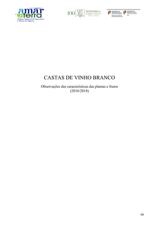 88
CASTAS DE VINHO BRANCO
Observações das características das plantas e frutos
(2016/2018)
 