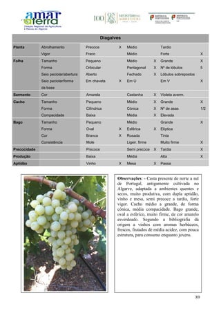 89
Diagalves
Planta Abrolhamento Precoce X Médio Tardio
Vigor Fraco Médio Forte X
Folha Tamanho Pequeno Médio X Grande X
Forma Orbicular Pentagonal X Nº de lóbulos 5
Seio peciolar/abertura Aberto Fechado X Lóbulos sobrepostos
Seio peciolar/forma
da base
Em chaveta X Em U Em V X
Sarmento Cor Amarela Castanha X Violeta averm.
Cacho Tamanho Pequeno Médio X Grande X
Forma Cilíndrica Cónica X Nº de asas 1/2
Compacidade Baixa Média X Elevada
Bago Tamanho Pequeno Médio Grande X
Forma Oval X Esférica X Elíptica
Cor Branca X Rosada Tinta
Consistência Mole Ligeir. firme Muito firme X
Precocidade Precoce Semi precoce X Tardia X
Produção Baixa Média Alta X
Aptidão Vinho X Mesa X Passa
Observações: - Casta presente de norte a sul
de Portugal, antigamente cultivada no
Algarve, adaptada a ambientes quentes e
secos, muito produtiva, com dupla aptidão,
vinho e mesa, semi precoce a tardia, forte
vigor. Cacho médio a grande, de forma
cónica, média compacidade. Bago grande,
oval a esférico, muito firme, de cor amarelo
esverdeado. Segundo a bibliografia dá
origem a vinhos com aromas herbáceos,
frescos, frutados de média acidez, com pouca
estrutura, para consumo enquanto jovens.
 