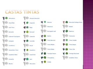 Castas Tintas
