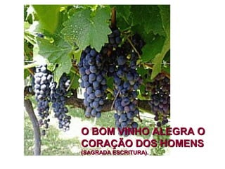 O BOM VINHO ALEGRA O
CORAÇÃO DOS HOMENS
(SAGRADA ESCRITURA).
 