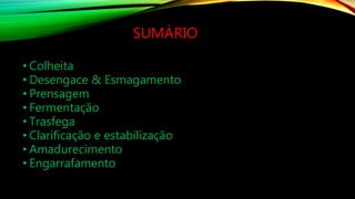 SUMÁRIO
• Colheita
• Desengace & Esmagamento
• Prensagem
• Fermentação
• Trasfega
• Clarificação e estabilização
• Amadurecimento
• Engarrafamento
 