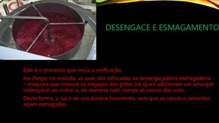 DESENGACE E ESMAGAMENTO
Este é o processo que inicia a vinificação.
Ao chegar na vinícola, as uvas são colocadas na desengaçadeira-esmagadeira
– máquina que remove os engaços dos grãos (os quais adicionam um amargor
indesejável ao vinho) e, de maneira sutil, rompe as cascas das uvas.
Desta forma, o suco de uva escorre livremente, sem que as cascas e sementes
sejam esmagadas.
 
