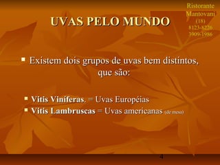 Ristorante
                                                   Mantovani
         UVAS PELO MUNDO                              (18)
                                                   8123-8226
                                                   3909-1986



   Existem dois grupos de uvas bem distintos,
                    que são:

   Vitis Viníferas. = Uvas Européias
   Vitis Lambruscas = Uvas americanas (de mesa)




                                         4
 