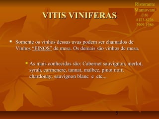 Ristorante
                                                           Mantovani
                 VITIS VINIFERAS                               (18)
                                                            8123-8226
                                                            3909-1986



   Somente os vinhos dessas uvas podem ser chamados de
    Vinhos “FINOS” de mesa. Os demais são vinhos de mesa.

           As mais conhecidas são: Cabernet sauvignon, merlot,
            syrah, carmenere, tannat, malbec, pinot noir,
            chardonay, sauvignon blanc e etc...




                                                  5
 