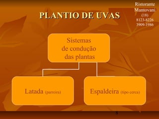 Ristorante
                                                 Mantovani
      PLANTIO DE UVAS                                (18)
                                                  8123-8226
                                                  3909-1986



                      Sistemas
                    de condução
                     das plantas




Latada (parreira)            Espaldeira (tipo cerca)


                                        8
 